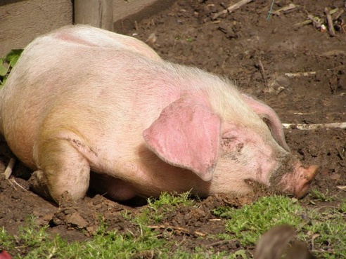 “Я нарэшце адчула сябе запатрабаванай”