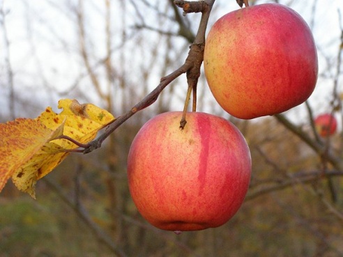 “Я нарэшце адчула сябе запатрабаванай”