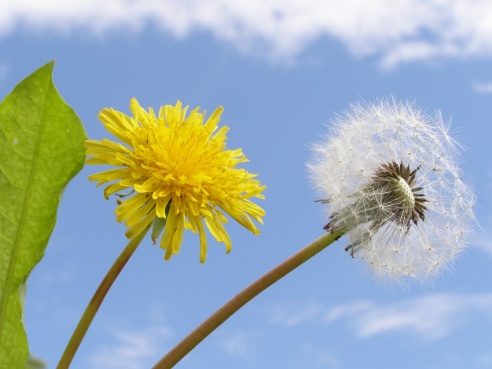“Я нарэшце адчула сябе запатрабаванай”