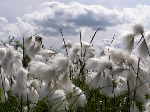 “Я нарэшце адчула сябе запатрабаванай”