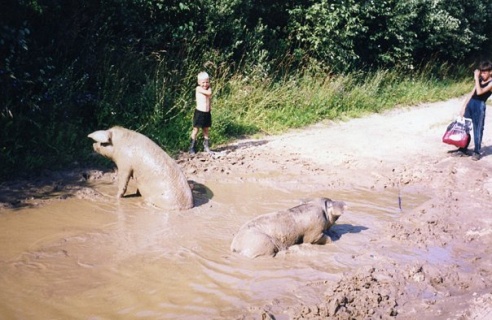 “Я нарэшце адчула сябе запатрабаванай”