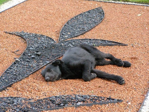 “Я нарэшце адчула сябе запатрабаванай”