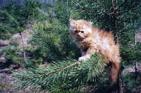 “Я нарэшце адчула сябе запатрабаванай”