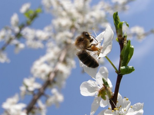 “Я нарэшце адчула сябе запатрабаванай”