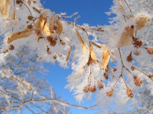 “Я нарэшце адчула сябе запатрабаванай”