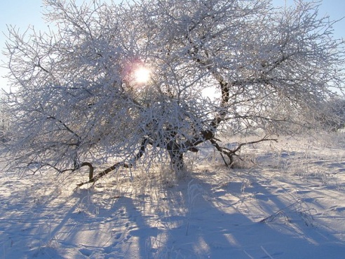 “Я нарэшце адчула сябе запатрабаванай”