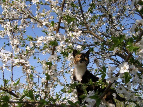 “Я нарэшце адчула сябе запатрабаванай”