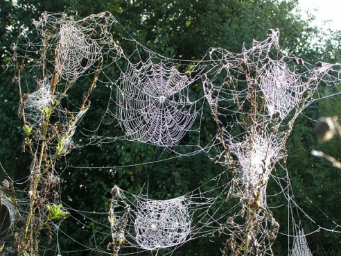 “Я нарэшце адчула сябе запатрабаванай”