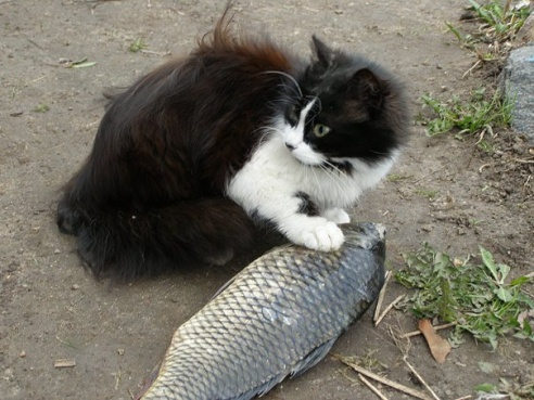 “Я нарэшце адчула сябе запатрабаванай”