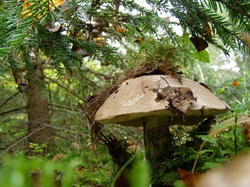 “Я нарэшце адчула сябе запатрабаванай”