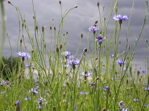 “Я нарэшце адчула сябе запатрабаванай”