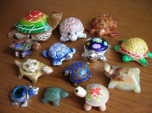 Житель Паричей организовывает музей черепах