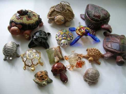 Житель Паричей организовывает музей черепах