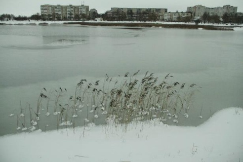 Барановичи накрыло снегом