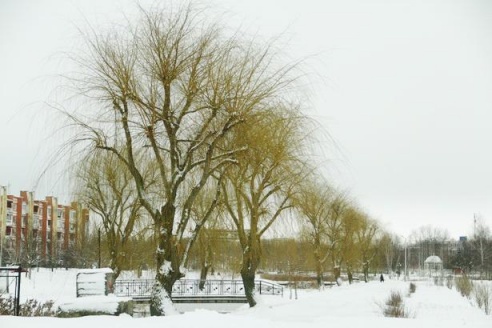 Барановичи накрыло снегом
