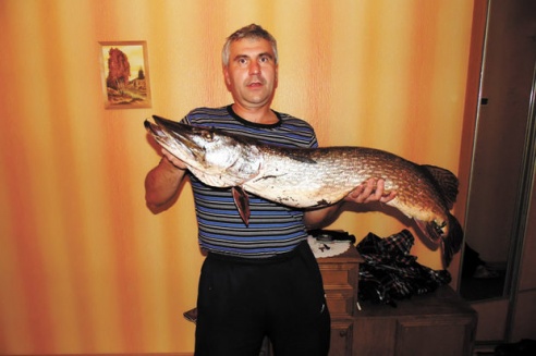 Житель Светлогорска поймал на удочку 12-килограммовую щуку (фото)