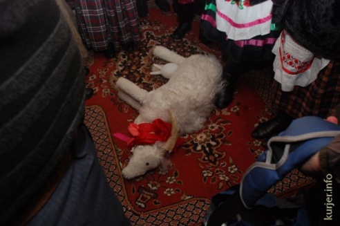 Як прайшоў Шчодрык у Восаве