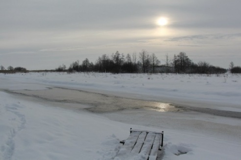 Зимние сюжеты от Елены Гулевич