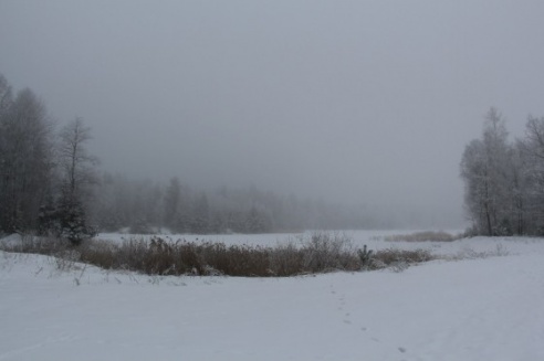 Зимние сюжеты от Елены Гулевич