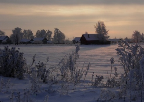 Зимние сюжеты от Елены Гулевич