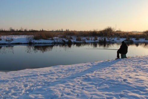 Зимние сюжеты от Елены Гулевич