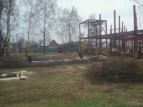 Полоцк. Новый торговый центр – новая вырубка деревьев