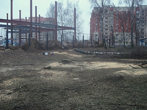Полоцк. Новый торговый центр – новая вырубка деревьев