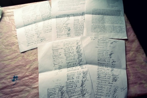 Как жители Горок оказались по ту сторону стены