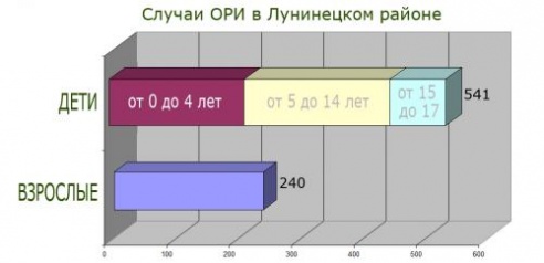 В этом январе лунинчане болели простудными заболеваниями реже, чем в прошлогоднем
