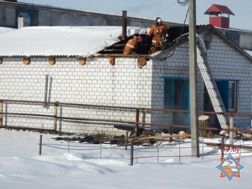 Ферма посреди зимы осталась без котельной (фото)