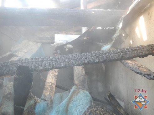 Ферма посреди зимы осталась без котельной (фото)