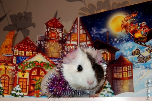 Фотохроника января—2014. Слуцк