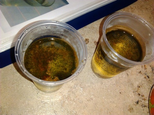 Продавцы «фильтров для очистки воды» все более нагло продвигают свой товар в Гомельской области