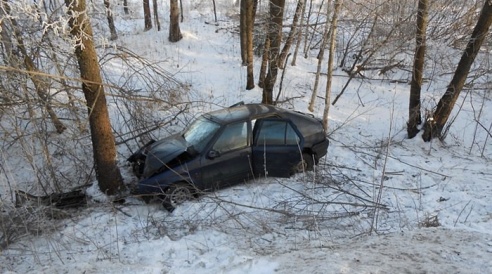 В Дрибинском районе Renault врезалось в дерево