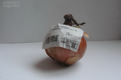 Что можно купить в Могилёве за 1 000 рублей в 2014 году