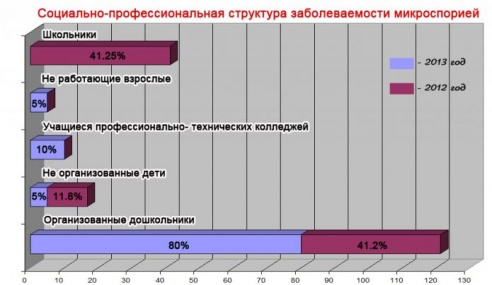 Микроспория: численность заболевших увеличилась. Как предостеречь родных?