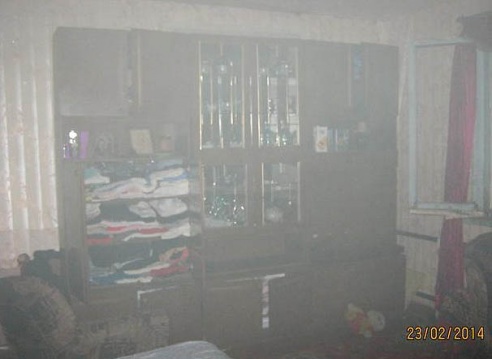 Пенсионер поджег свой дом