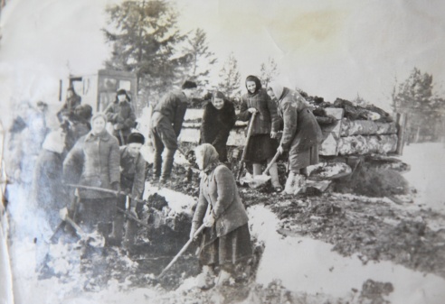 На скрыжаванні лёсаў і дарог