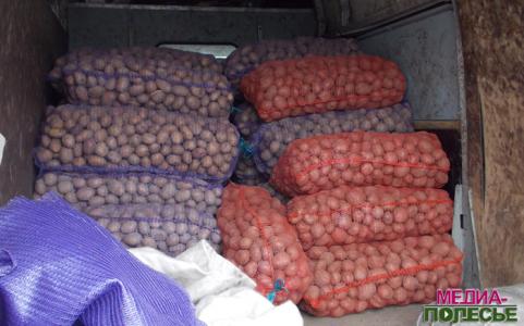 Чёрное это дело – картошку закупать