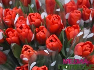 Какая она, идеальная женщина? Какая она, идеальная женщина?