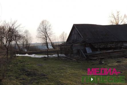 Трава горит - страдают все