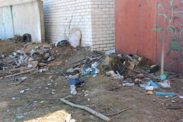«Мусорят и ходят по газонам только свиньи?» «Мусорят и ходят по газонам только свиньи?»