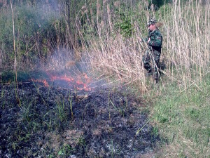 ВЫЖЖЕННАЯ ЗЕМЛЯ