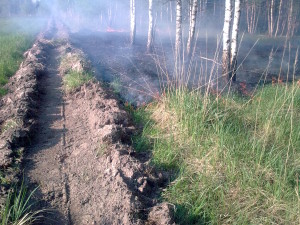 ВЫЖЖЕННАЯ ЗЕМЛЯ