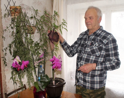 Чудеса на окошке