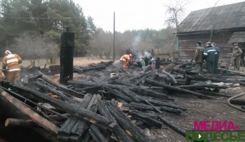 Хозяин кормил щенка при зажжённой спичке – сгорел сарай