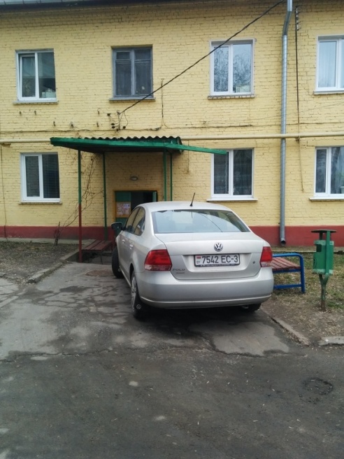 Житель Речицы: скоро будут в подъезд заезжать на своих «телегах» (фото)