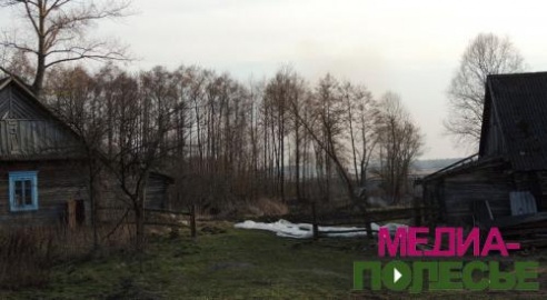 Трава горит - страдают все