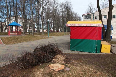 Деревьев становится всё меньше (+фото)