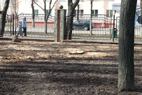 Деревьев становится всё меньше (+фото)